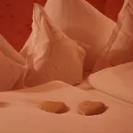 Casa de hóspedes Zauser 4*